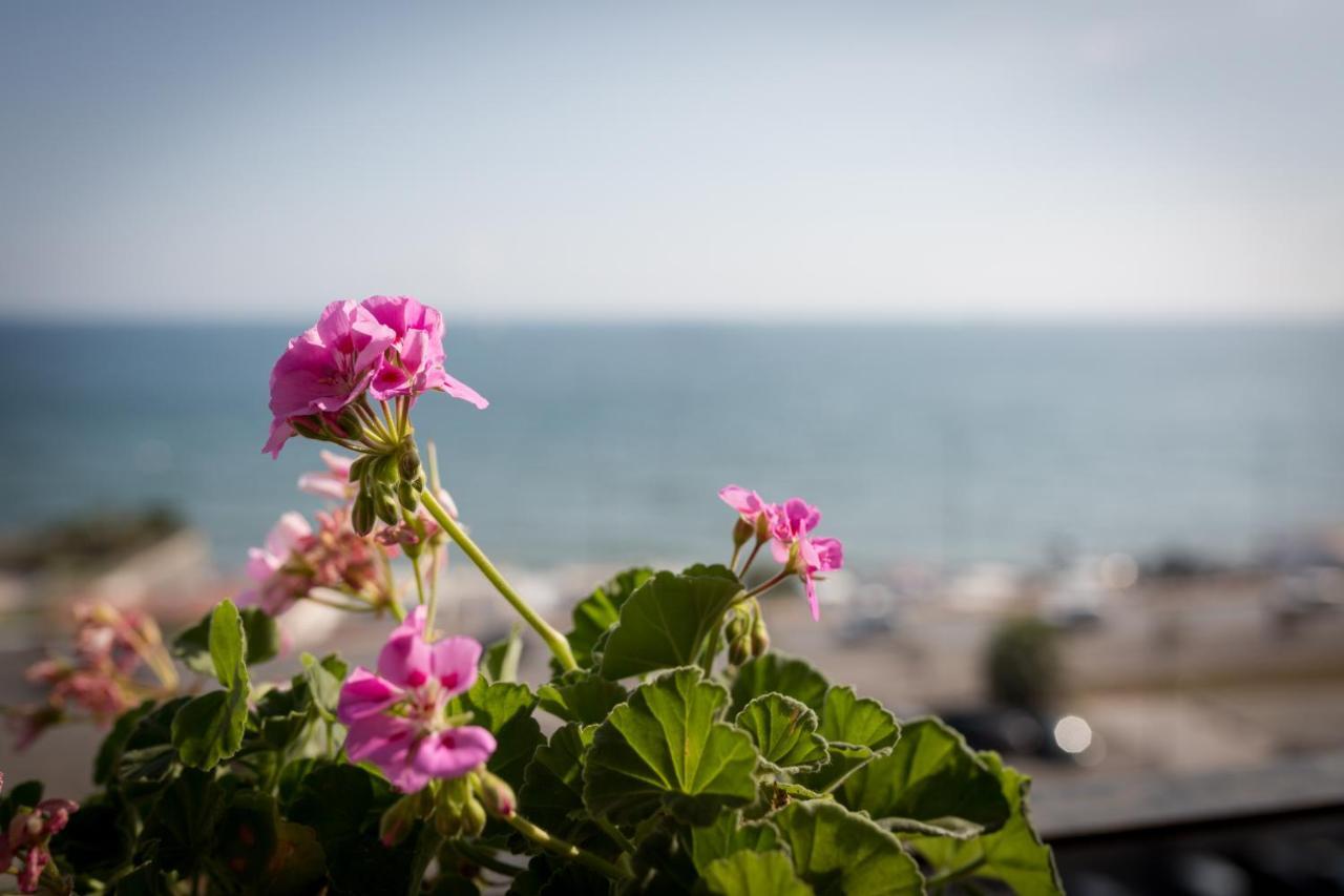 Salsedine Sea View Bed and Breakfast Salerno Exteriör bild